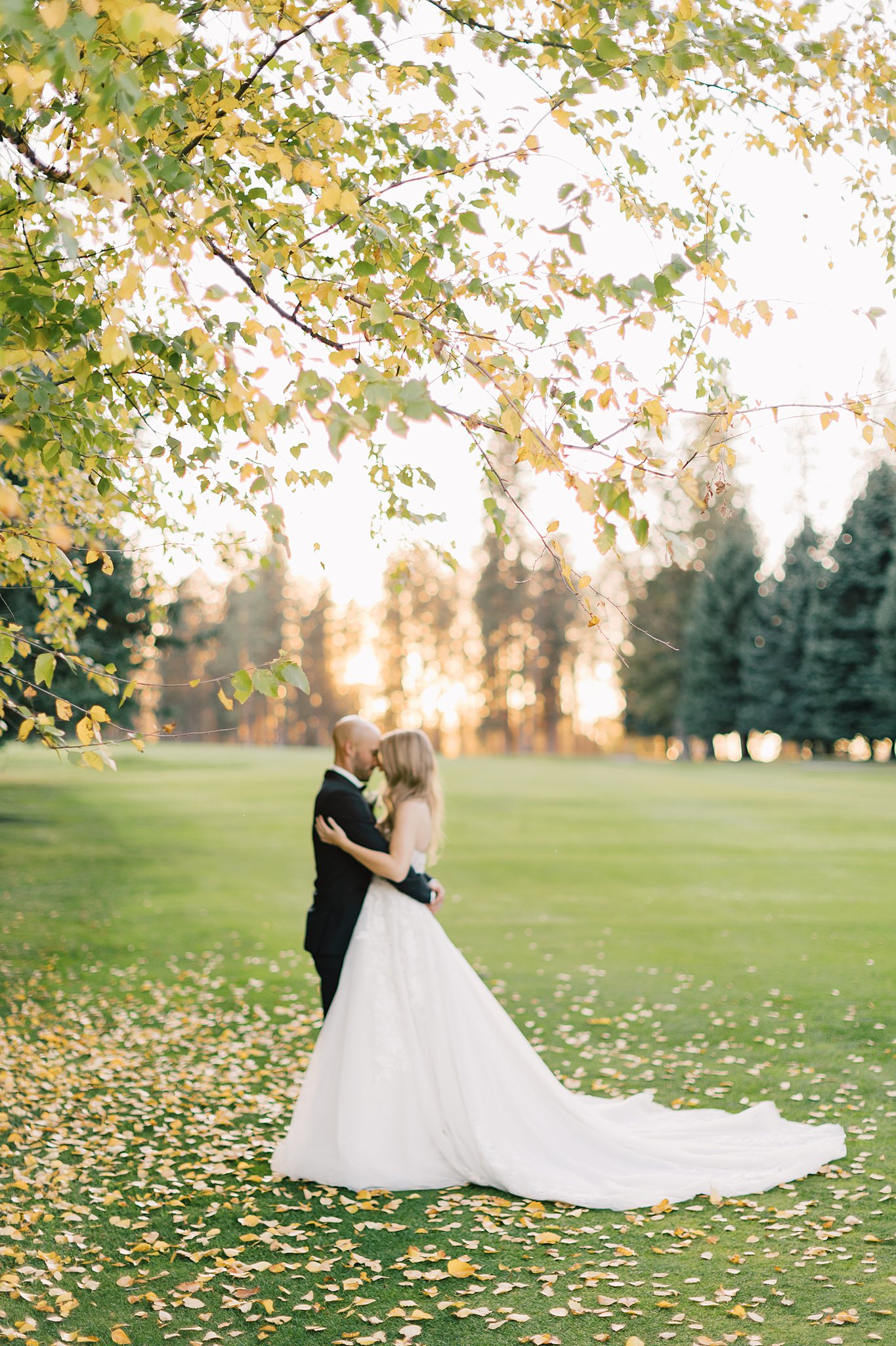 Newlyweds touch foreheads while cuddling under a tree at sunset in a field