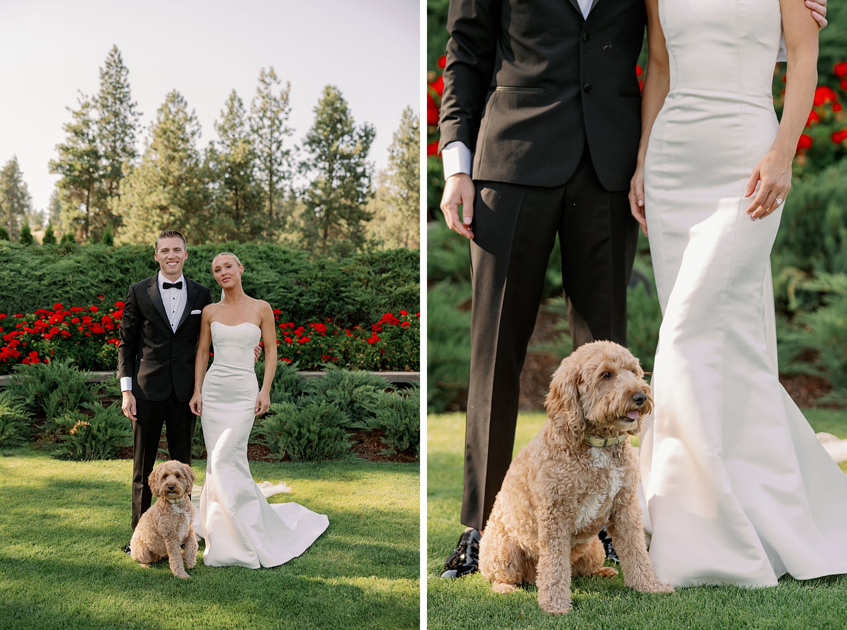 A bride and groom stand with their small doodle puppy in a garden lawn